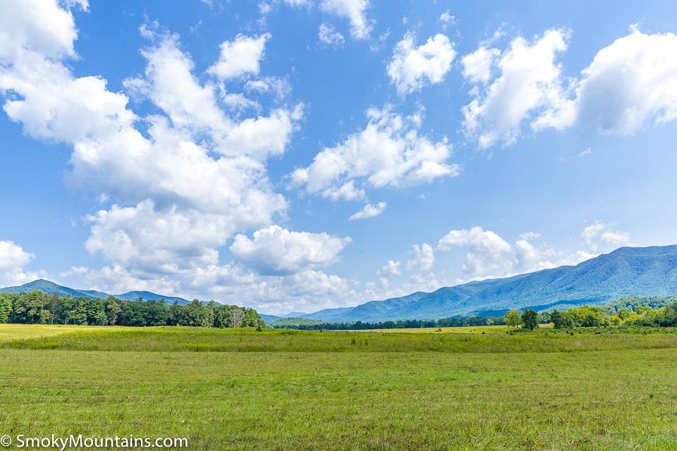 Open green meadows stretch across the valley floor toward forested ridges under a blue sky in Cades Cove at Great Smoky Mountains National Park.