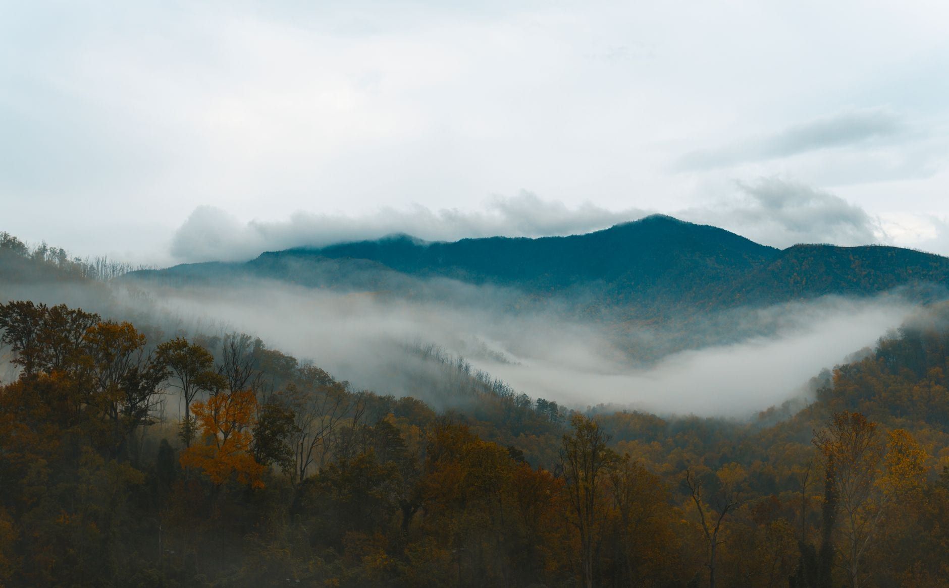 Morning mist hovers between autumn-colored forests and the layered ridges of the Great Smoky Mountains.
