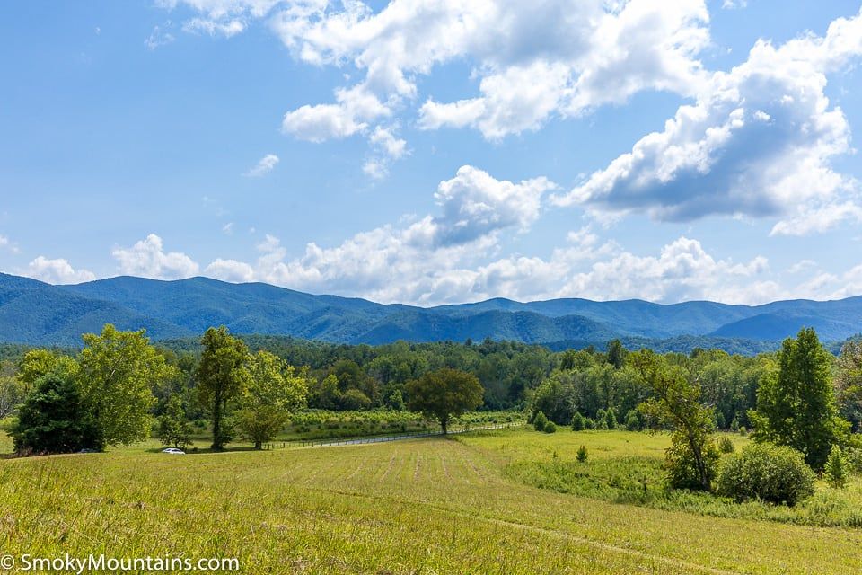 A road runs through the open green meadows of Cades Cove backed by the forested ridges of the Great Smoky Mountains.