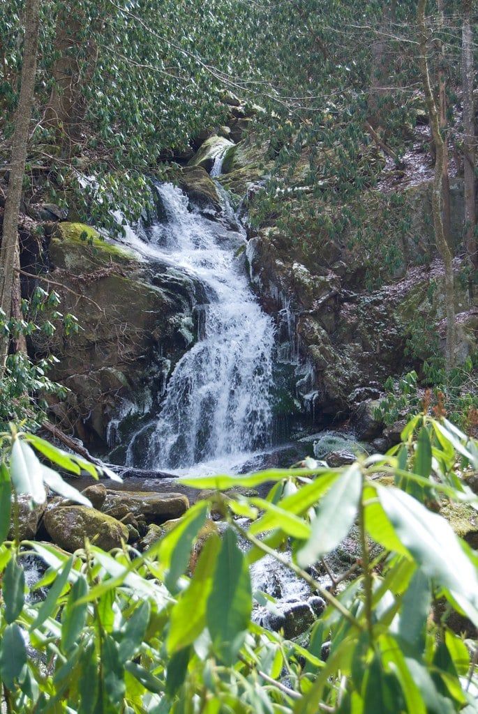 Mouse Creek Falls cascades down a rocky slope framed by rhododendron leaves in Great Smoky Mountains National Park.