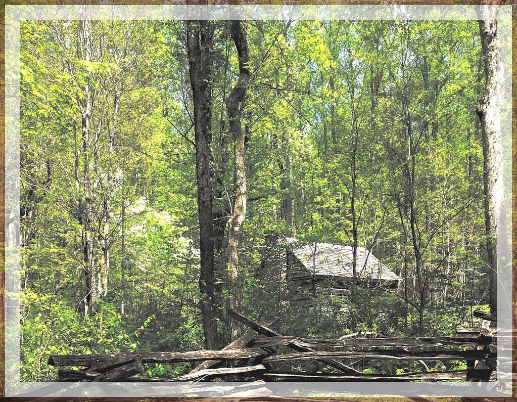 A historic log cabin stands among dense forest trees behind a wooden split-rail fence in Great Smoky Mountains National Park.