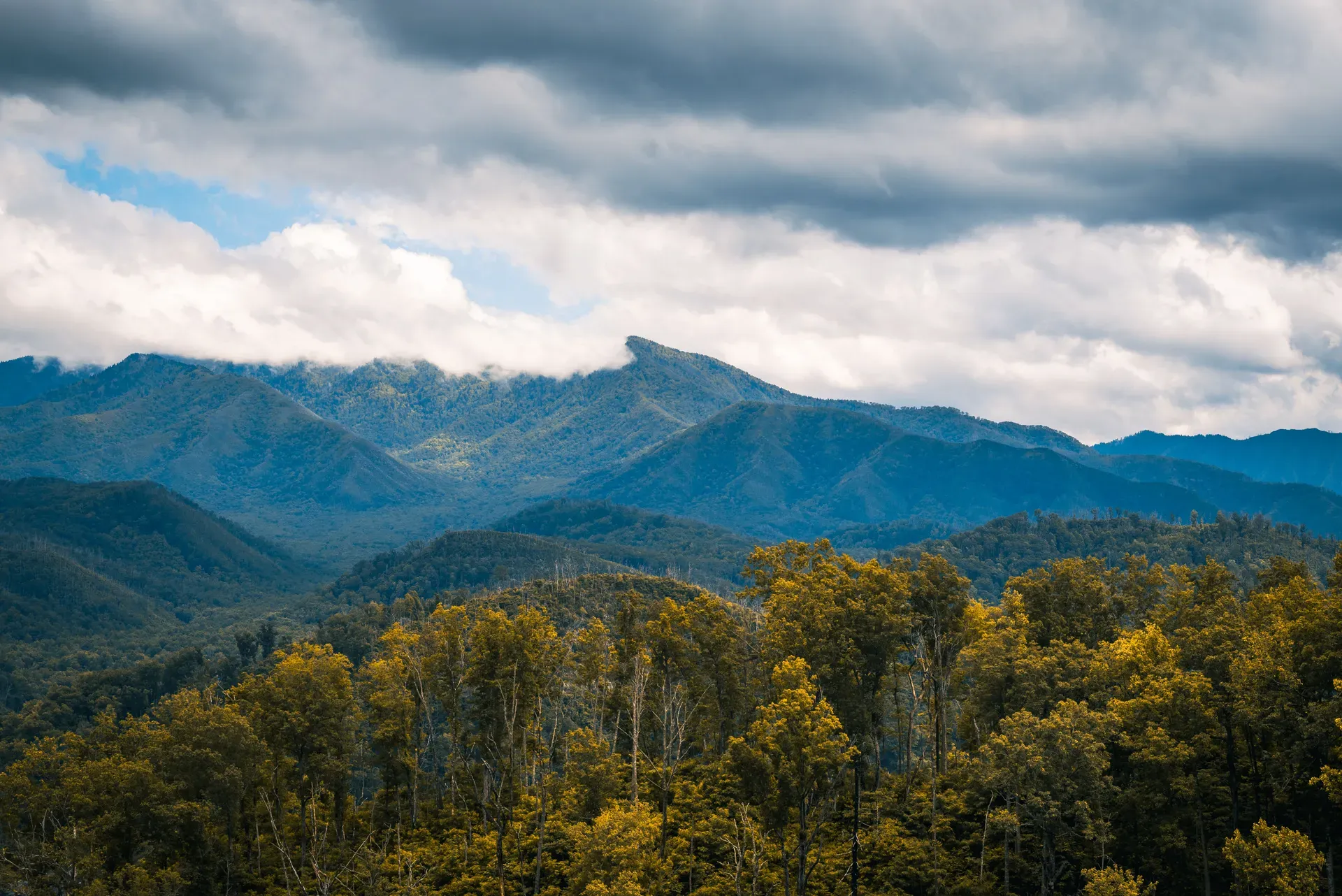 Great Smoky Mountains