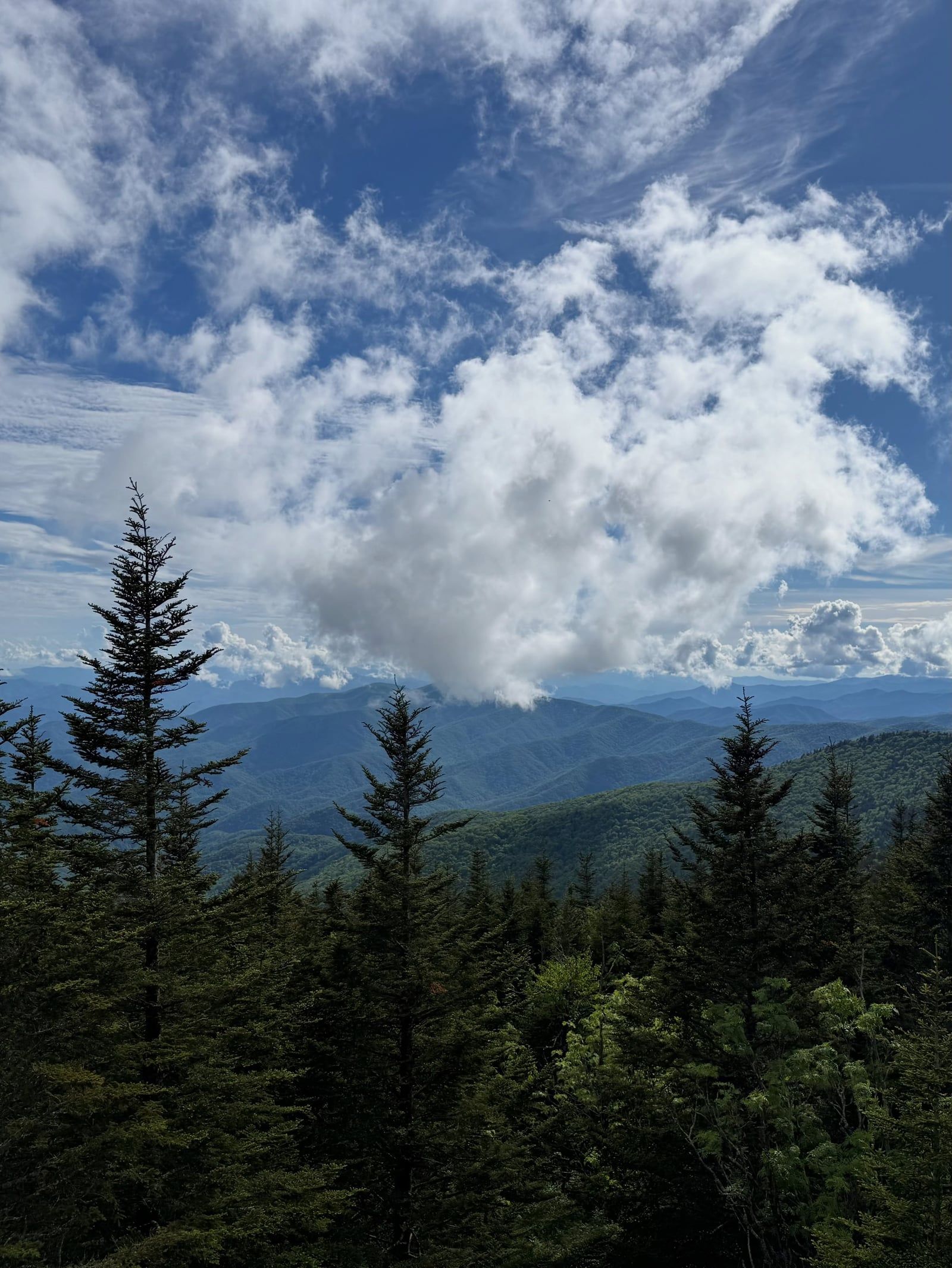 Great Smoky Mountains view