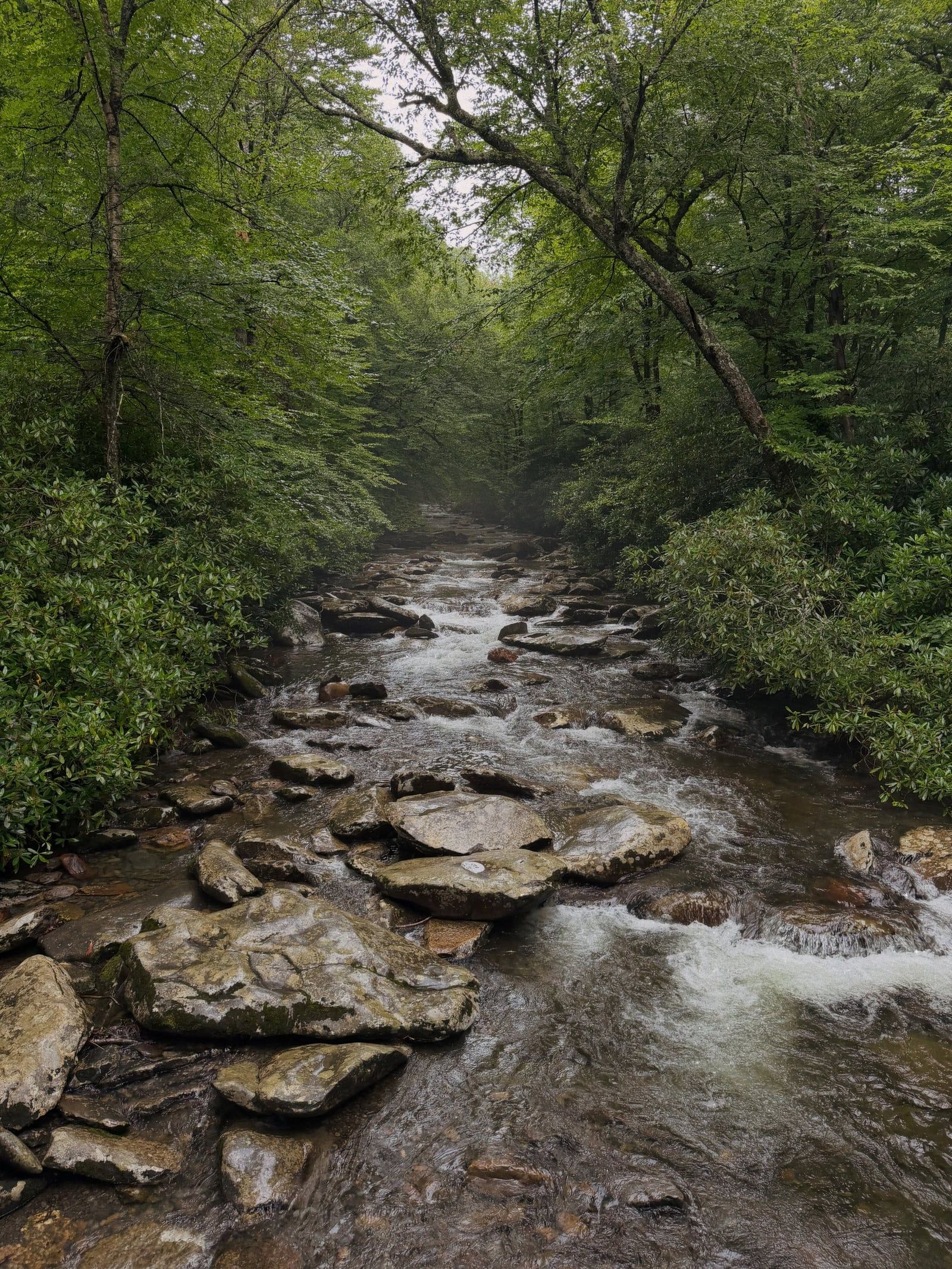 Great Smoky Mountains view