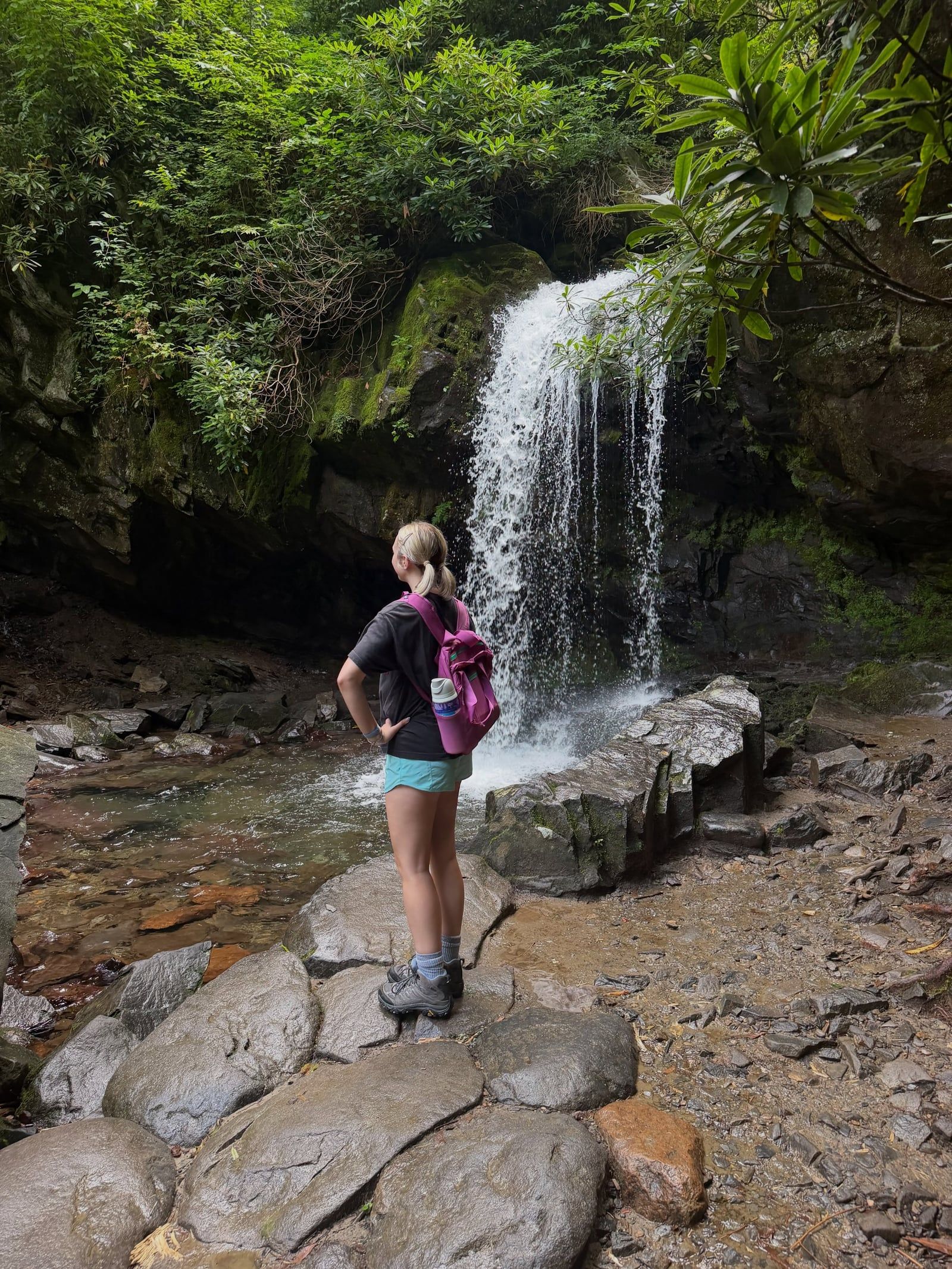 Great Smoky Mountains tour visitor photo