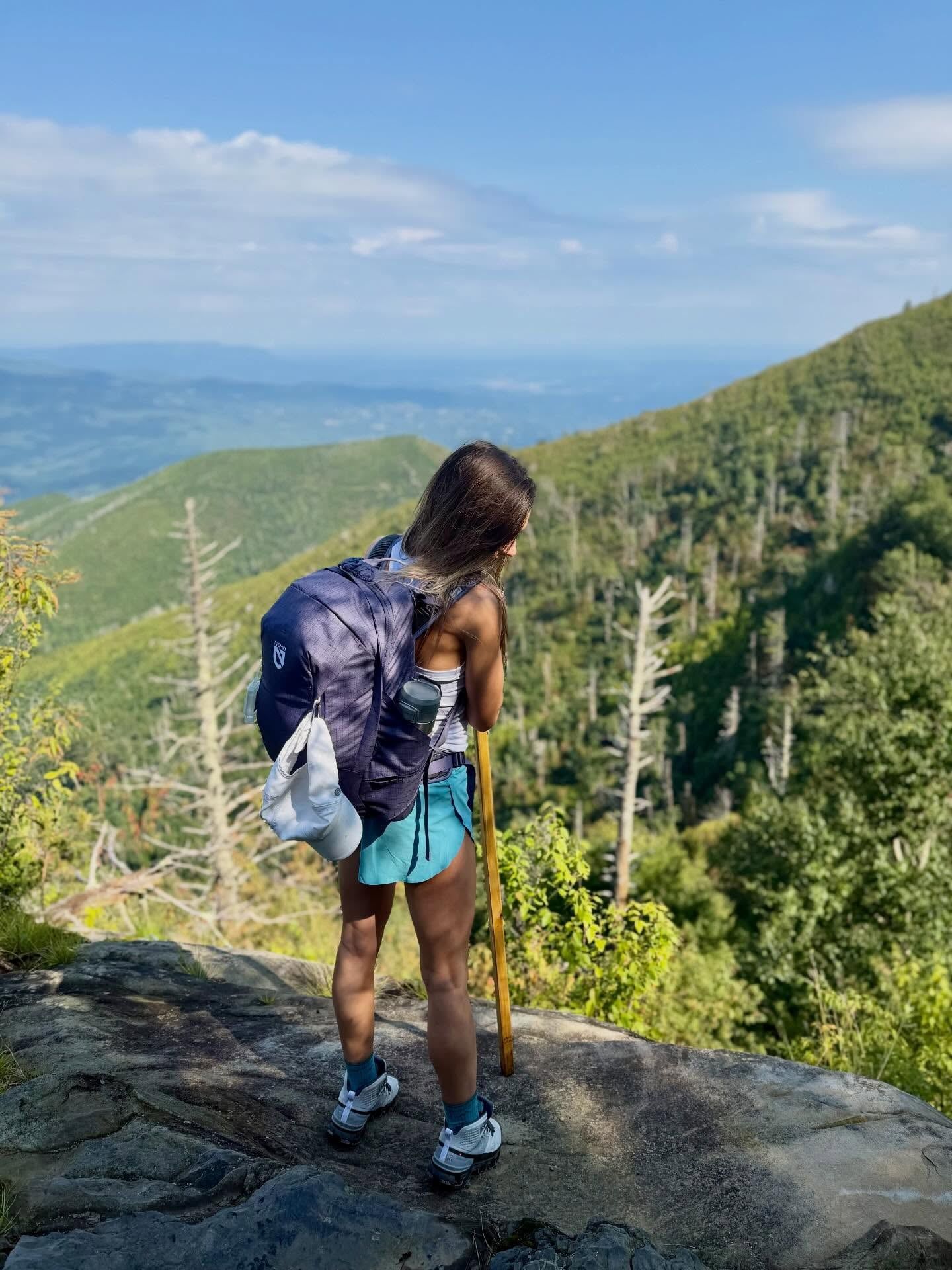 Great Smoky Mountains tour visitor photo
